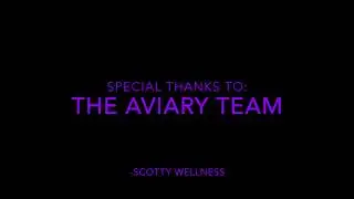 My Aviary Review