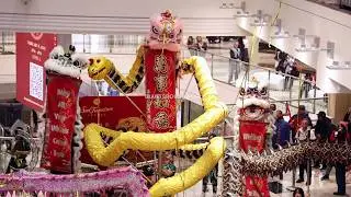 LION DANCE BY JADE RABBIT :: CNY Celebration 2025 @ San Francisco Centre