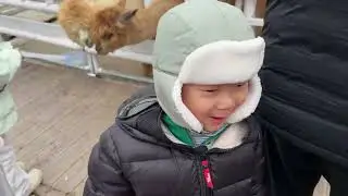 20260116-0118(3) 평창