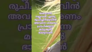 നല്ലിടയൻ#shorts #bibleverse #jesuschrist #stevensamuel