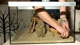 Aquascape dragonstone and red Moor