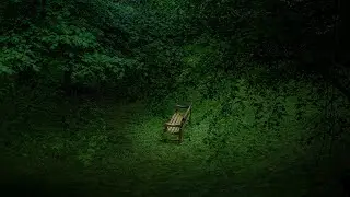 🎵 Solitude's Harmony - FreeVibeVault | Peaceful Classical [No Copyright Music]