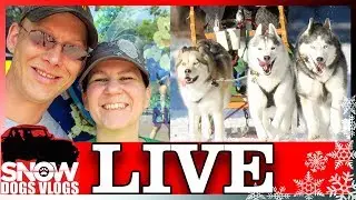 LIVE QnA and Mail Unboxing with Snow Dogs Vlogs