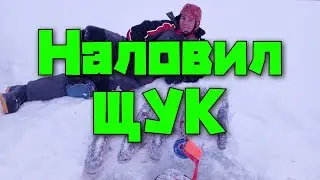 Все жерлицы сработали! Новая печь в избу!