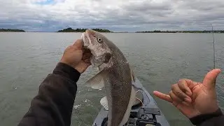 HOW TO CATCH HUGE WHITING!!! NC STYLE!!!