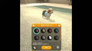 with My DOG - 犬とくらそう - 【きせかえ① 】 #shorts