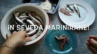 Kako očistimo sardele in filiramo sardele