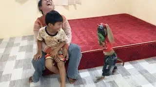 Jason Funniest Wear A Face Mask Surprise Brother Mom Laughing