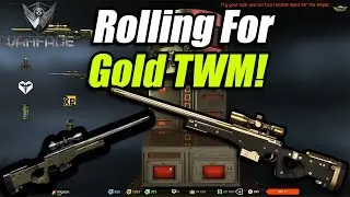 Warface PC | Rolling For Gold TWM Original! | Warface New Gold Sniper Box!