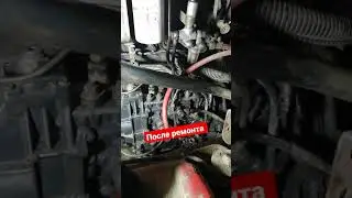 ман ф 2000