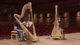 #Lamusicanonsiferma! - Duo di Arpe