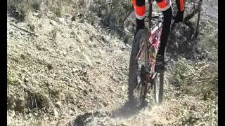 farsetti andrea renacci
