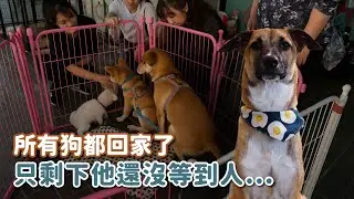 所有狗都回家了，只剩下他還沒等到人...