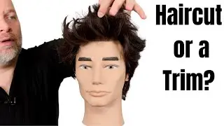 Should you get a Haircut or a Trim - TheSalonGuy