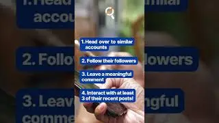 4 Tips to Boost Your Instagram Engagement 2022
