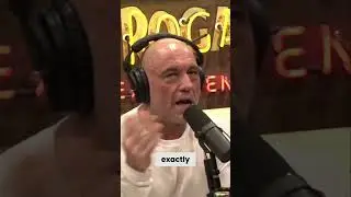 Joe Rogan on Life Experiences &ndash; A Short Insight
