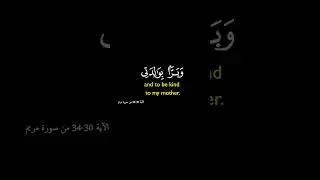 Quran reacts meaning in English #foryou #duet #islam #bangladesh #ফিলিস্তিনি #viralvideo #fyp