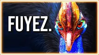 Le Casoar : L'Oiseau Tueur D'Homme