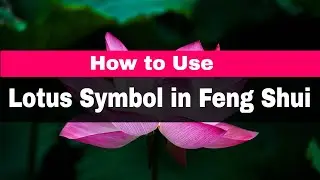 How to Use the Lotus Symbol in Feng Shui
