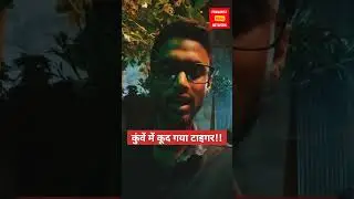 कुंवें में कूद गया टाइगर!! #tiger #rescue #viral #video