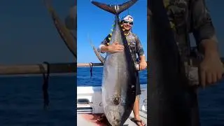 Absolute Super Cow!! Gero on a MONSTER Yellowfin!!