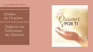 Oramos por ti