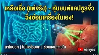 หุ่นยนต์นาโนวิ่งซ่อมในร่างกาย: ยุคใหม่การแพทย์อนาคต