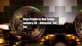 Best Crypto to Buy Today January 30 &ndash; Bittensor, Sui, Sei