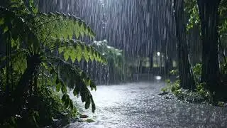 Instant Deep Sleep: The Ultimate Thunderstorm - Heavy Rain & Mighty Night Thunder