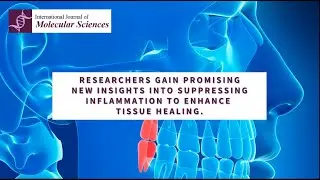 Bone regeneration breakthrough with gene delivery therapy