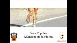 Región Poplítea y de la Pierna