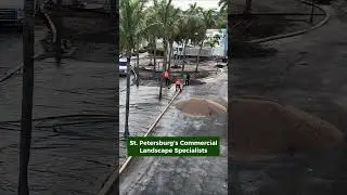 Top Commercial Landscaping Company in St. Petersburg, FL  #shorts