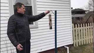 Tube Bird Feeder with 6 Feeding Ports, Premium Hard Plastic Outdoor Birdfeeder with Steel Hanger