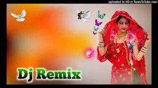 छोरी तेरा गला में दो दो माला एक हराम की दिख DJ Remix 💥 New Meena Geet Lalaram JaitpurDJ Remix Song
