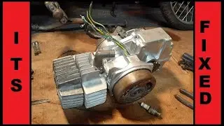 77 Pinto Moped Motor Rebuild