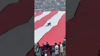 Caught a guy getting caught on The flag at MetLife ! Yikes!!! #jetup #metlifestadium #nfl #viral