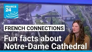 Paris's 'old lady': Fun facts about Notre-Dame Cathedral &bull; FRANCE 24 English