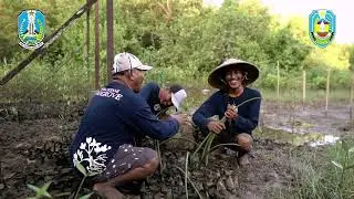 PENURUNAN EMISI GAS RUMAH KACA (GRK) DENGAN PENINGKATAN BLUE CARBON
