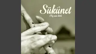 S&uuml;k&ucirc;net