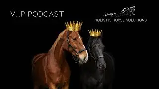 V.I.P podcast 5