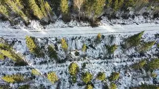 Adaptive Silviculture for Climate Change UNBC Research Forest John Prince