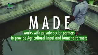 How my fish farming business became lucrative - Victor Peter