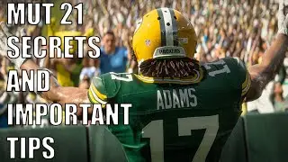21 FUNDAMENTAL MUT 21 TIPS!