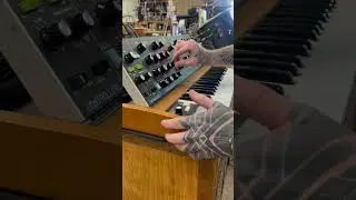 Behringer Poly D Synthesizer / / Ambient Synth Sketch 1