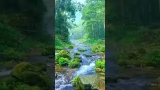 🛑 Beautiful😍✨❤ || Nature🌿🍃 || Waterfall video || Relax Studio (3)