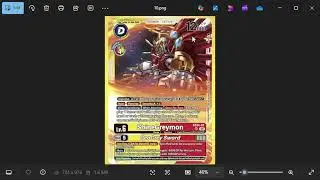 Dual Cards and the health of Digimon