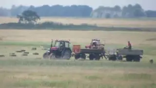 Pa&scaron;njaci velike droplje 04.06.2017.