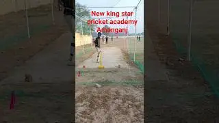 Arun Pal Star All Rounder New King Star Cricket Academy