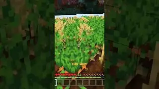 EASIEST WIN EVER?! #minecraft #cubecraft #minerware #gaming #shortsfeed #shortvideo #shorts