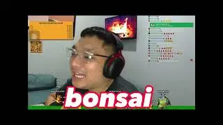 Fiel petra versi bonsai